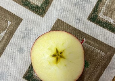 Vanoční den na Jablíčku