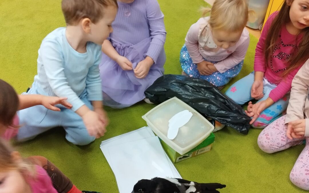 Výukový program – „Ptačí kamarádi straky Rozárky“