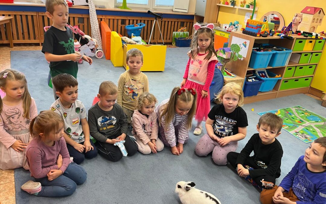 Listopad na Sedmikrásce