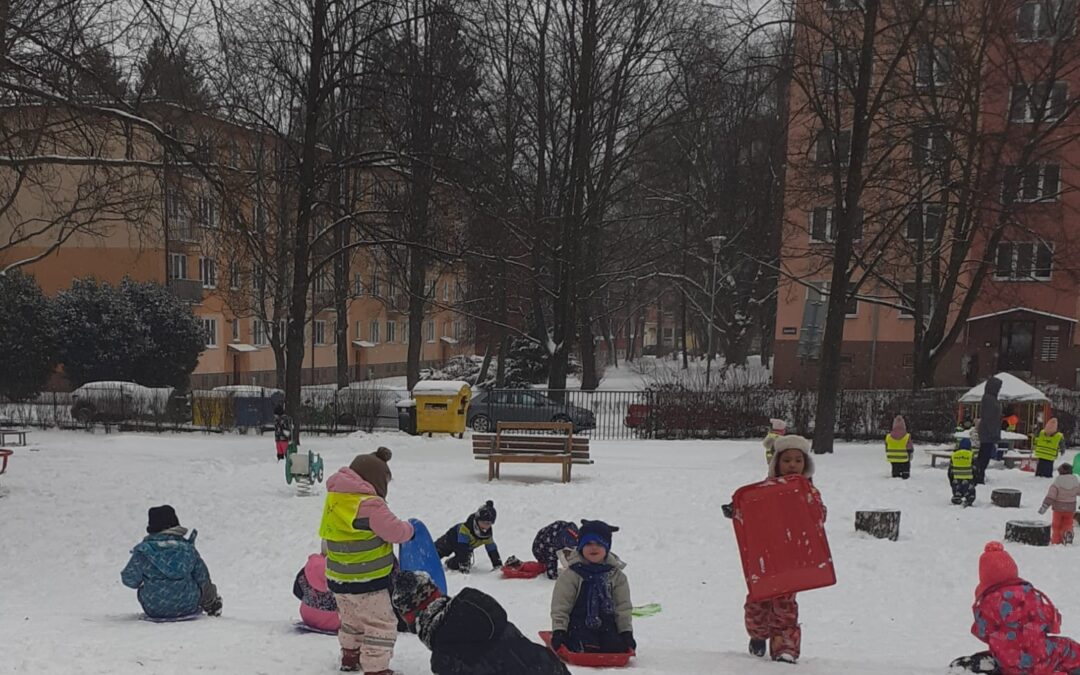 Zimní radovánky na sněhu