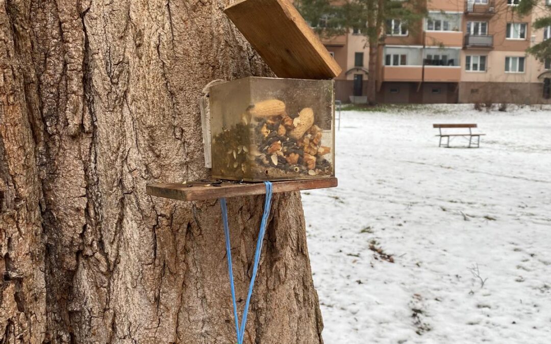 Berušky pomáhají v zimě ptáčkům