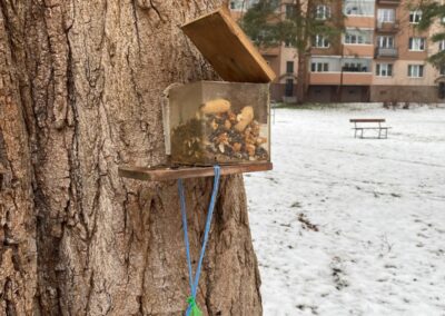 Berušky pomáhají v zimě ptáčkům