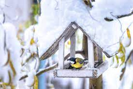 Co se děje na krmítku?