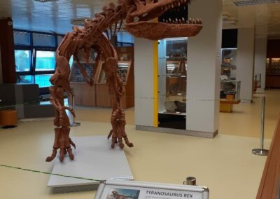 Návštěva Geologického pavilonu VŠB „Cesta do pravěku“