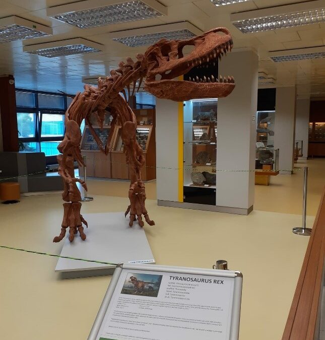 Návštěva Geologického pavilonu VŠB „Cesta do pravěku“